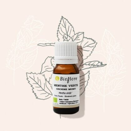 Huile essentielle Menthe Verte Bio