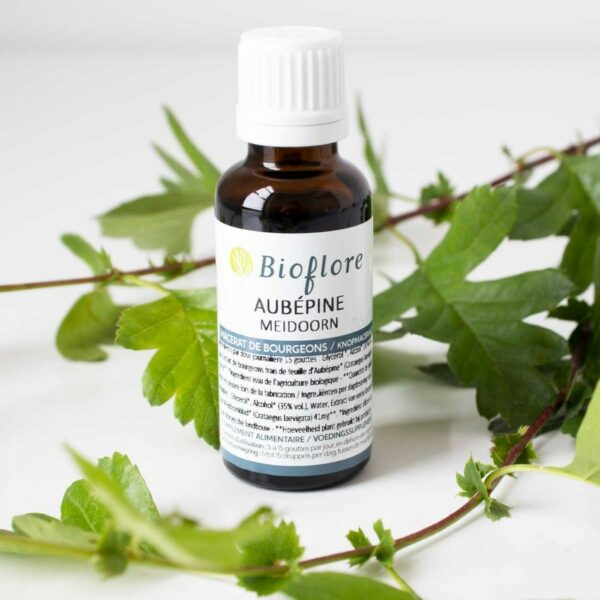 Macérat de bourgeons Aubépine Bio