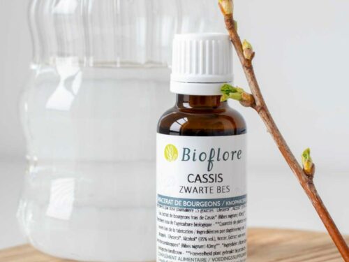Macérat de bourgeons Cassis Bio