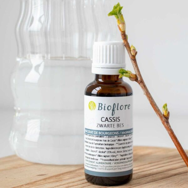 Macérat de bourgeons Cassis Bio